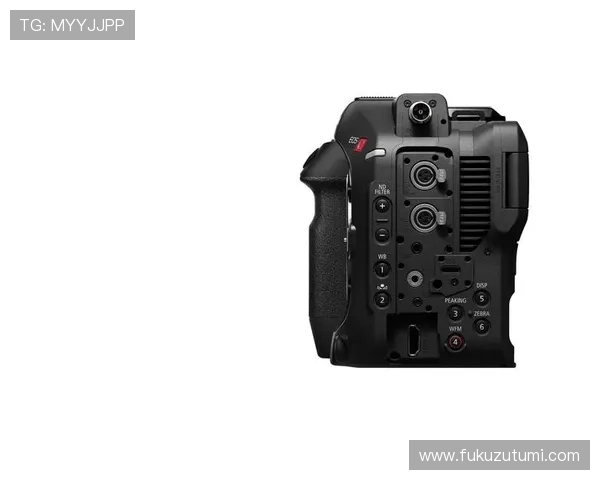 Z6尊龙备用平台最新上线功能介绍及使用指南帮助玩家快速上手